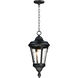 Sentry 1 Light 9 inch Black Outdoor Hanging Lantern