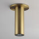 Calibro LED 2.5 inch Natural Aged Brass Outdoor Flush Mount