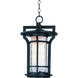 Oakville 1 Light 12 inch Black Oxide Outdoor Hanging Lantern