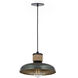 Bingham 1 Light 9.75 inch June Bug Single Pendant Ceiling Light