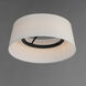 Paramount LED 16 inch Black Flush Mount Ceiling Light