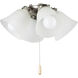San Gabriel LED Satin Nickel Ceiling Fan Light Kit