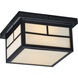 Coldwater 2 Light 9.25 inch Black Outdoor Flush Mount in White
