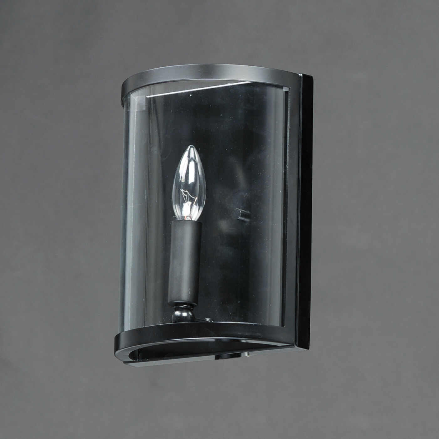 Sentinel 1 Light Black Wall Sconce Wall Light