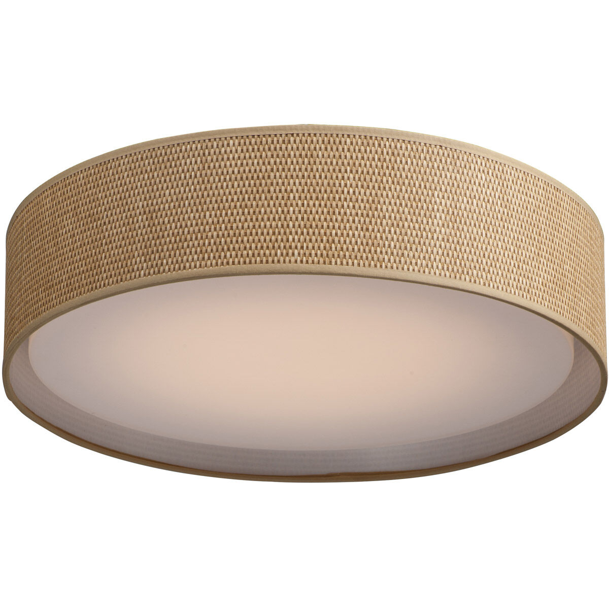 Prime LED 20 inch Flush Mount Ceiling Light