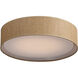 Prime LED 20 inch Flush Mount Ceiling Light