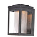 Salon LED 10 inch Black Outdoor Wall Mount in Clear Ribbed