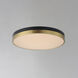 Dapper LED 16 inch Black and Antique Brass Flush Mount Ceiling Light