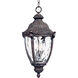 Morrow Bay DC 3 Light 13.5 inch Earth Tone Outdoor Hanging Lantern