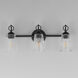 Jackson Hole 3 Light 23.5 inch Black Bath Vanity Wall Light in Clear