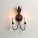Paloma 2 Light 10.25 inch Anthracite Wall Sconce Wall Light
