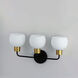 Coraline 3 Light 21.75 inch Bronze and Satin Brass Bath Vanity Wall Light in Bronze/Satin Brass