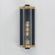 Opulent 1 Light 14 inch Black and Antique Brass Outdoor Wall Mount
