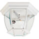 Crown Hill 3 Light 11.00 inch Outdoor Ceiling Light