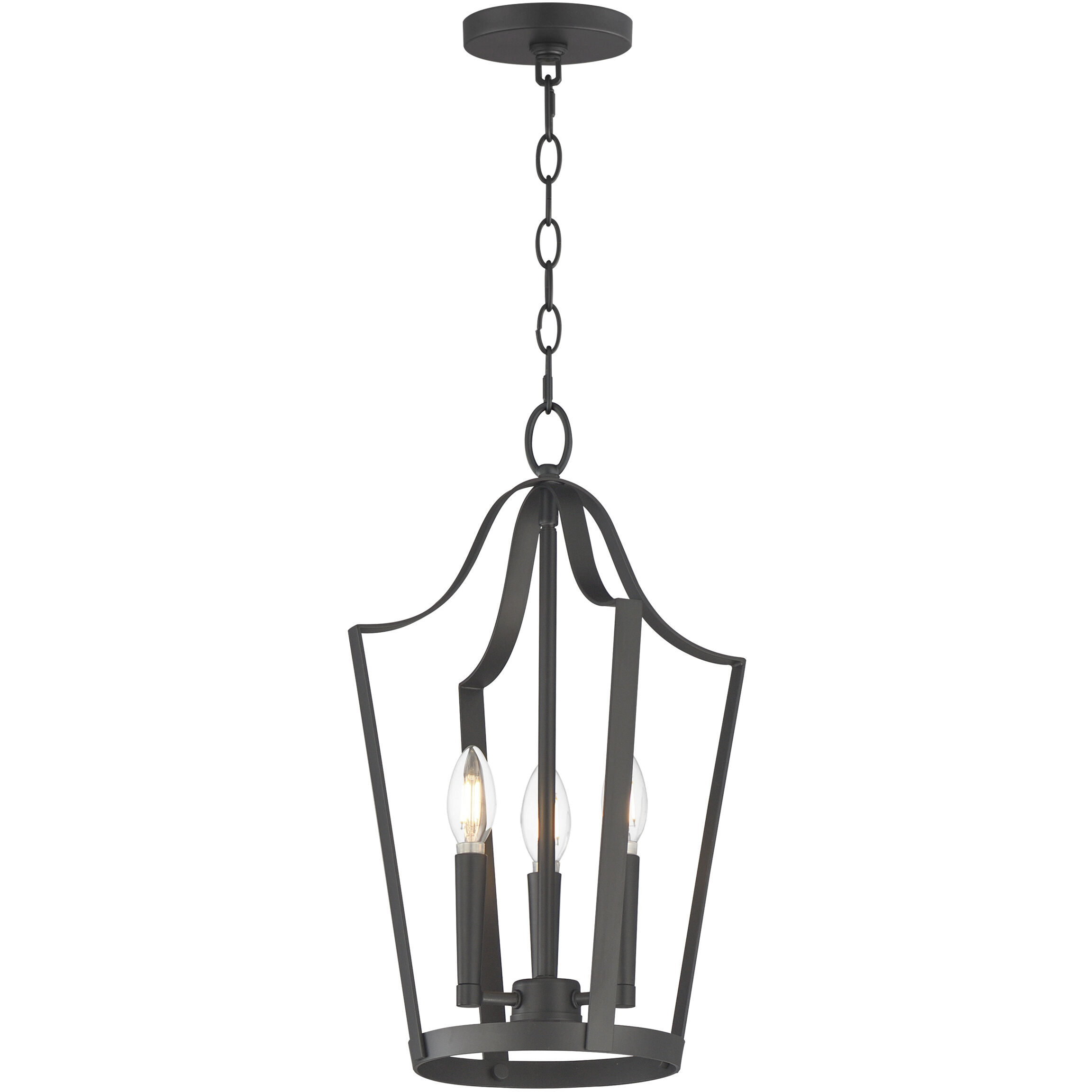 Arden 3 Light 12 inch Black Entry Foyer Pendant Ceiling Light