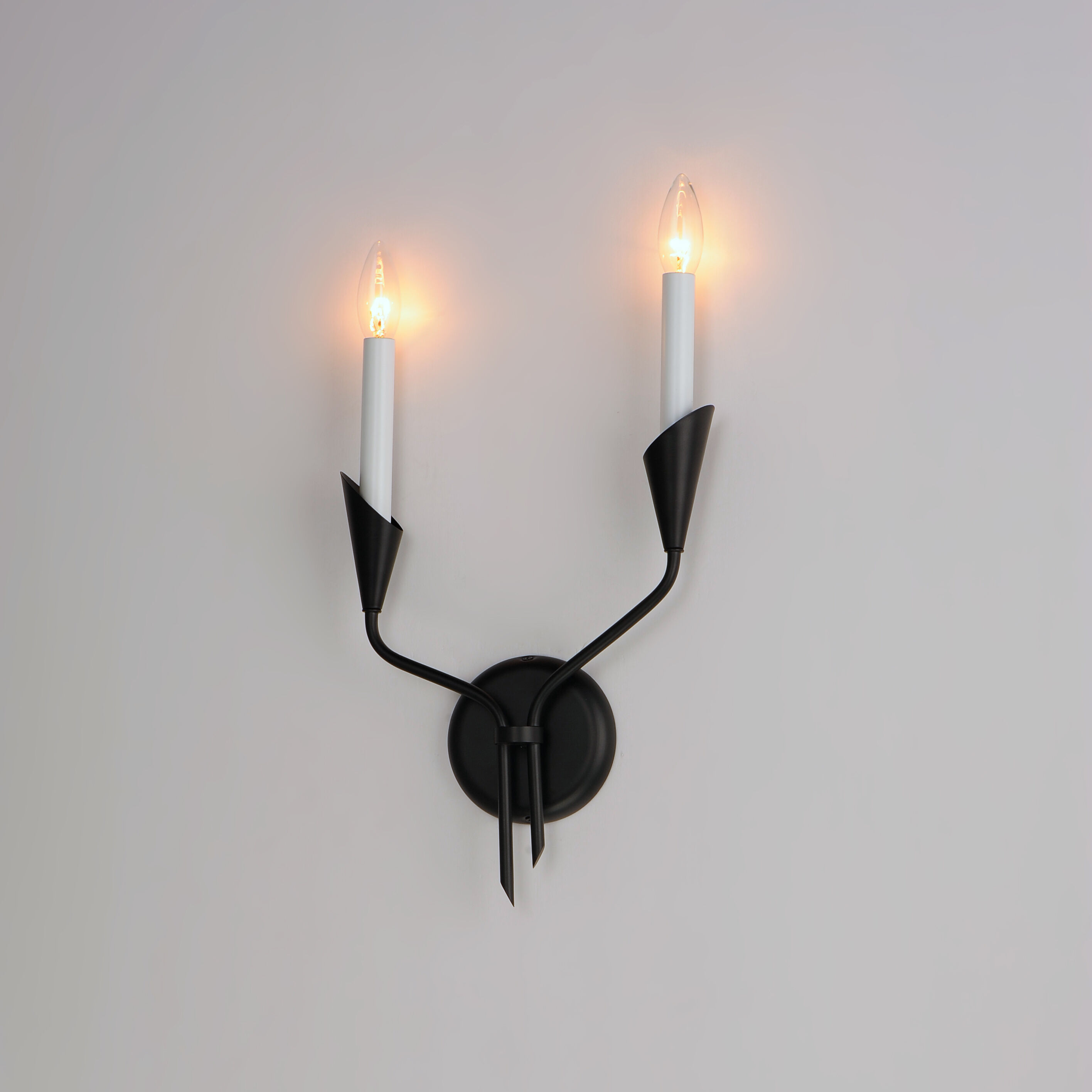 Calyx Wall Sconce Wall Light