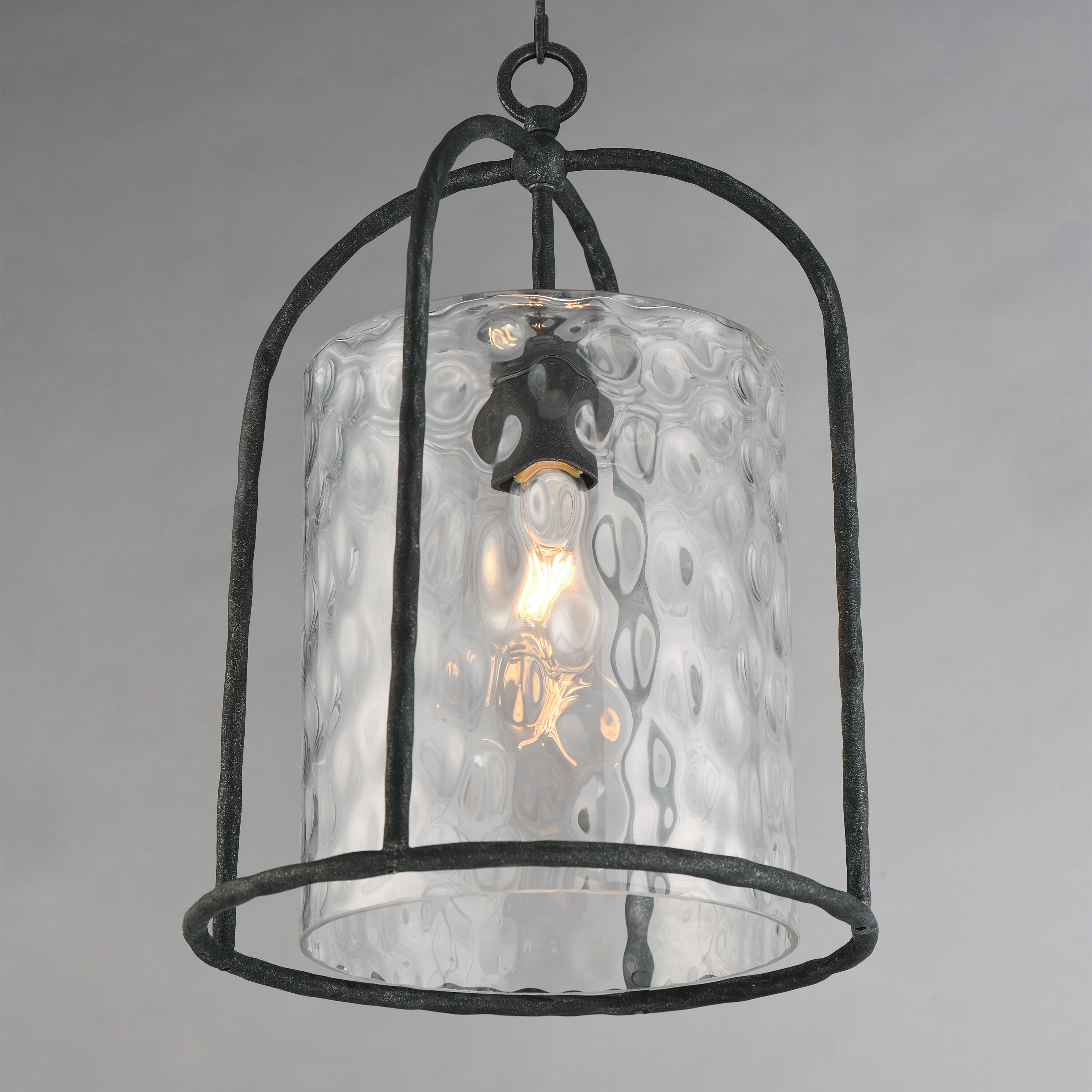 Del Mar 1 Light 13 inch Blacksmith Outdoor Pendant in Water