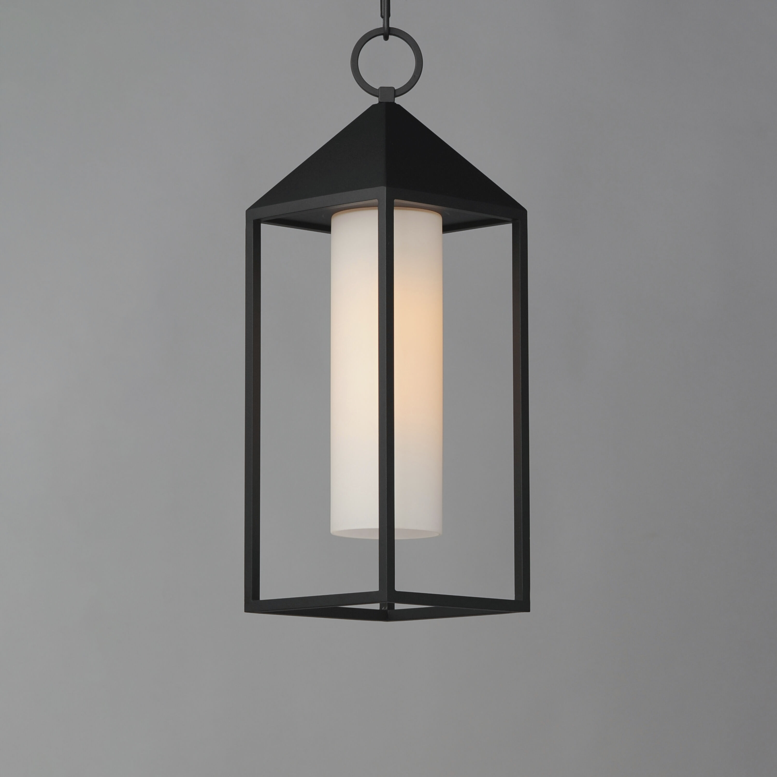 Aldous 1 Light 7 inch Black Outdoor Pendant