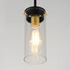 Pinn 1 Light 5 inch Black and Satin Brass Mini Pendant Ceiling Light