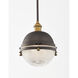 Portside 1 Light 10 inch Oil Rubbed Bronze and Antique Brass Outdoor Pendant