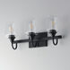 Goblet 3 Light 20.25 inch Black Bath Vanity Wall Light