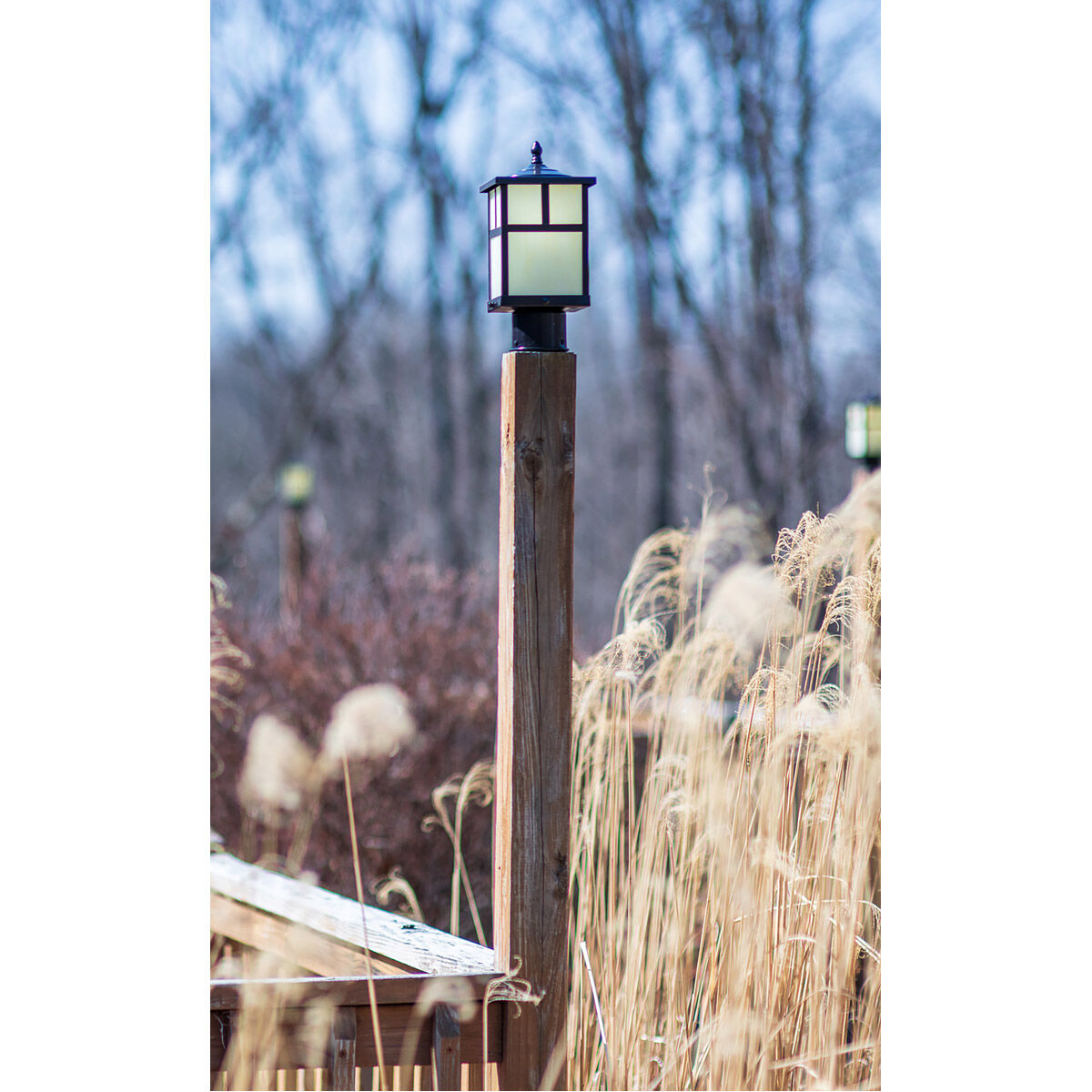 Maxim 4058WTBK Coldwater 1 Light 9 inch Black Outdoor