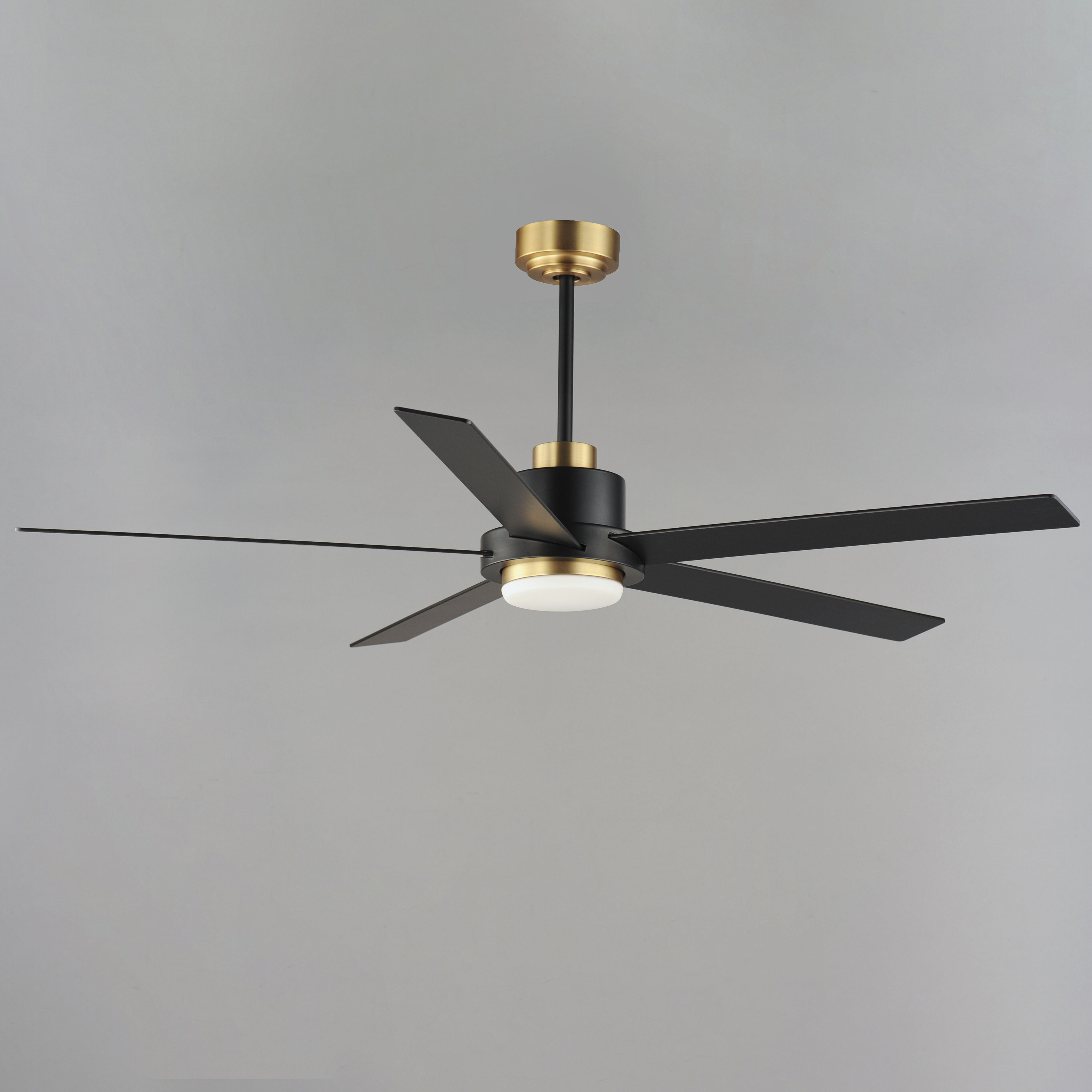 Daisy 60 inch Black and Gold Indoor Ceiling Fan