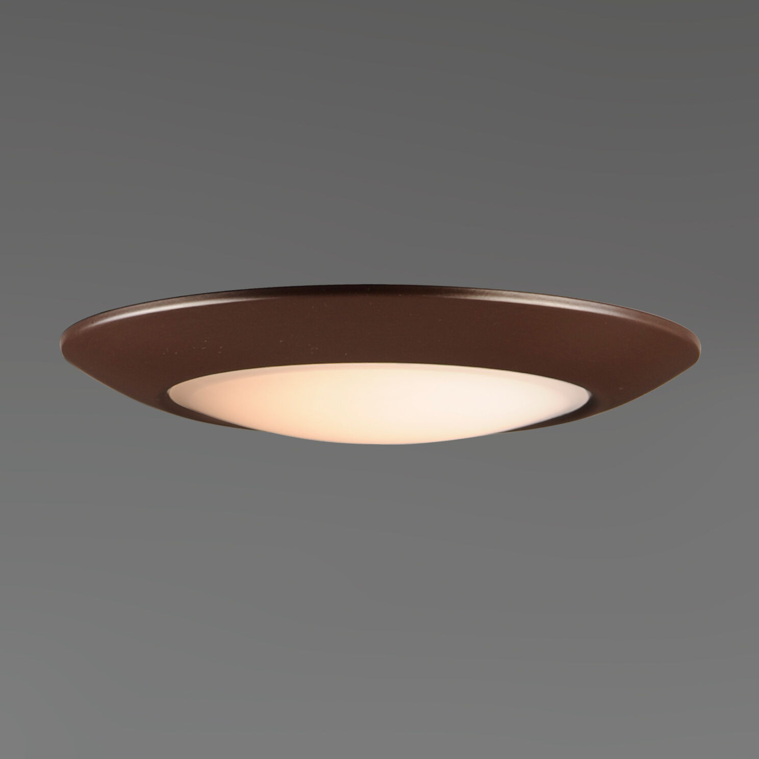 Diverse LED LED 11 inch Bronze Flush Mount Ceiling Light