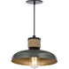 Bingham 1 Light 9.75 inch June Bug Single Pendant Ceiling Light