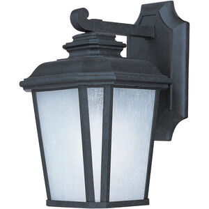 Radcliffe LED E26 LED 11 inch Black Oxide Outdoor Wall Mount