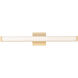 Spec Vanity LED 30 inch Gold Bath Vanity Wall Light