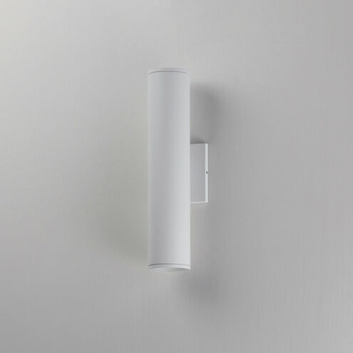 Caldera LED 15 inch White Outdoor Wall Mount