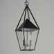 Bavaria 2 Light 9 inch Black Outdoor Pendant