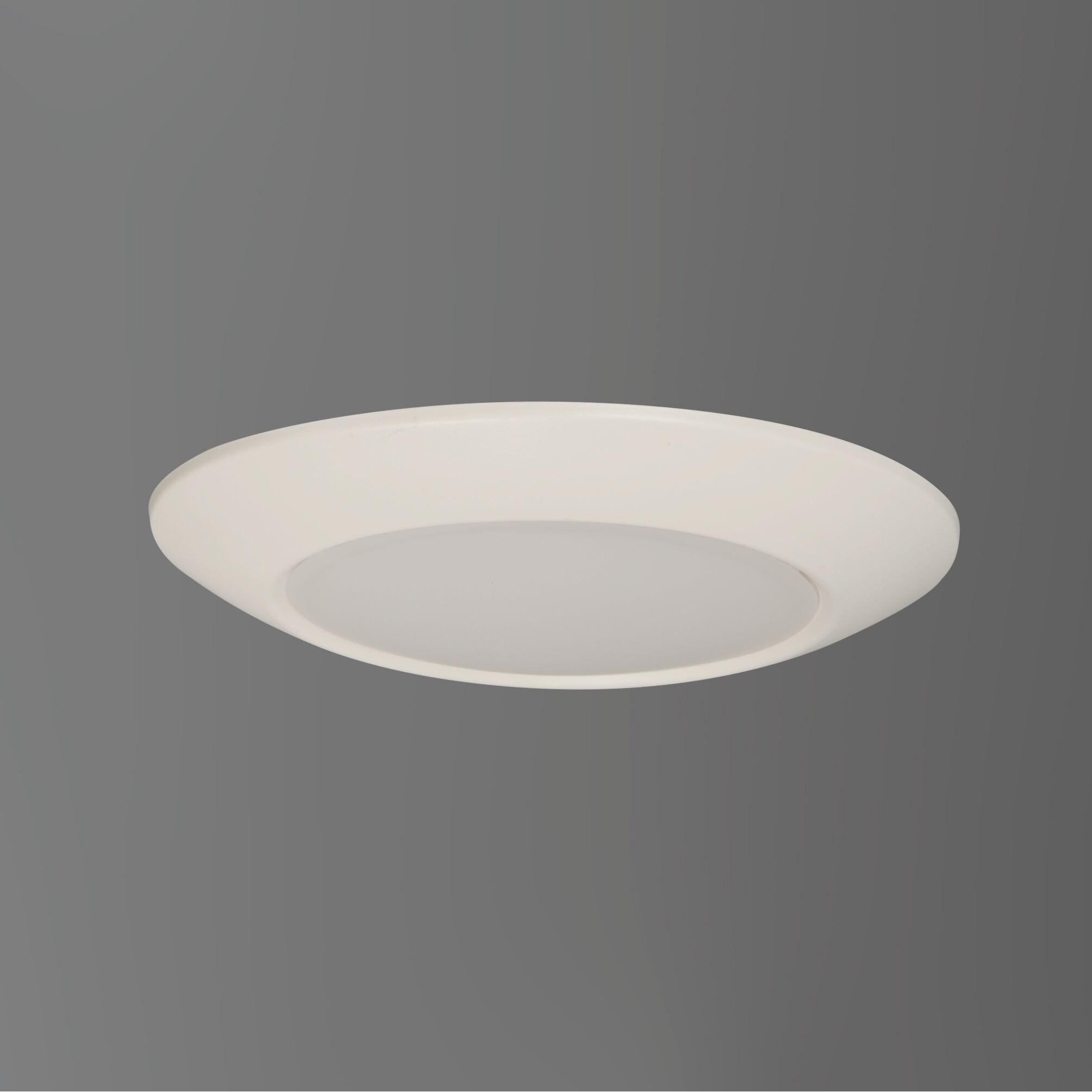 Diverse LED LED 9 inch White Flush Mount Ceiling Light