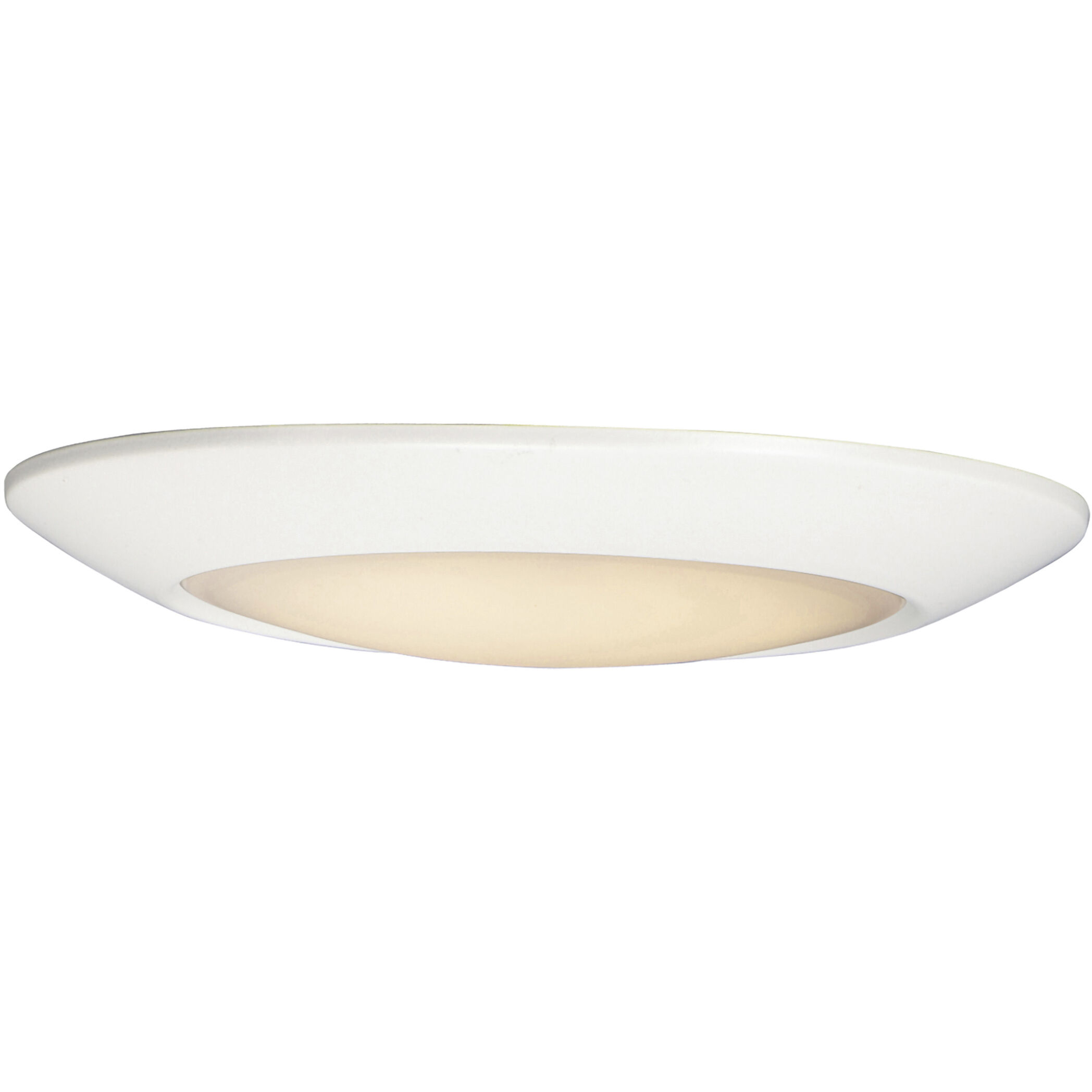 Diverse 1 Light 9.25 inch Flush Mount