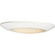 Diverse 1 Light 9.25 inch Flush Mount