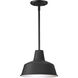 Pier M 1 Light 10.25 inch Black Outdoor Pendant