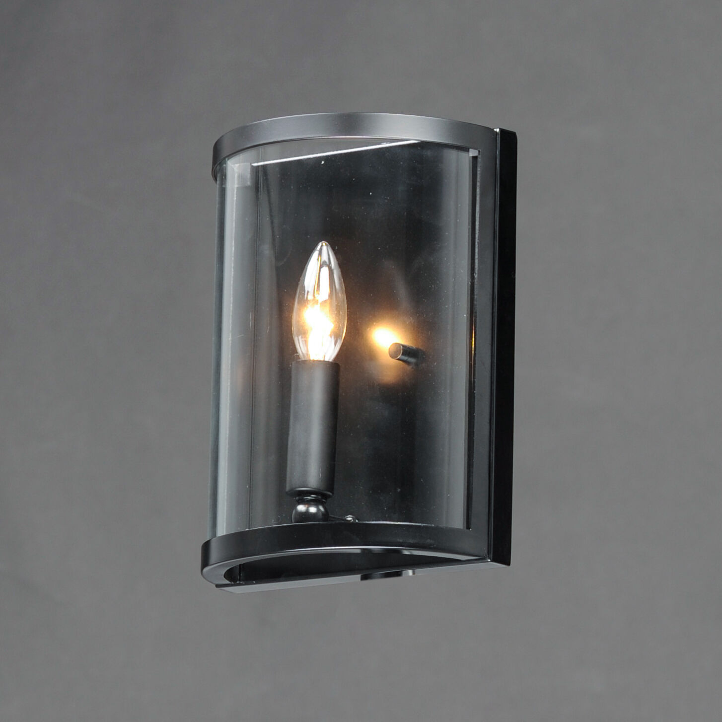Sentinel 1 Light Black Wall Sconce Wall Light