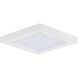 Chip 1 Light 5.00 inch Flush Mount
