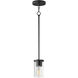 Lateral 1 Light 4.75 inch Black Single Pendant Ceiling Light in Clear