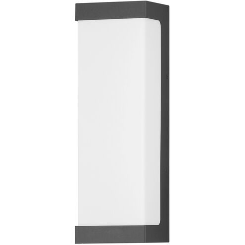 Tunnel LED 15 inch Black Outdoor Wall Mount