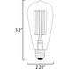 Glow Incandescent ST58 E26 Medium 40 watt 120 2200K Bulb