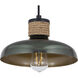 Bingham 1 Light 9.75 inch June Bug Single Pendant Ceiling Light