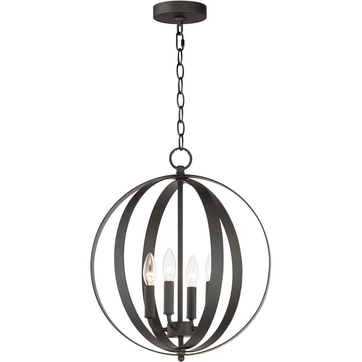 Provident 4 Light 16 inch Black Single Pendant Ceiling Light
