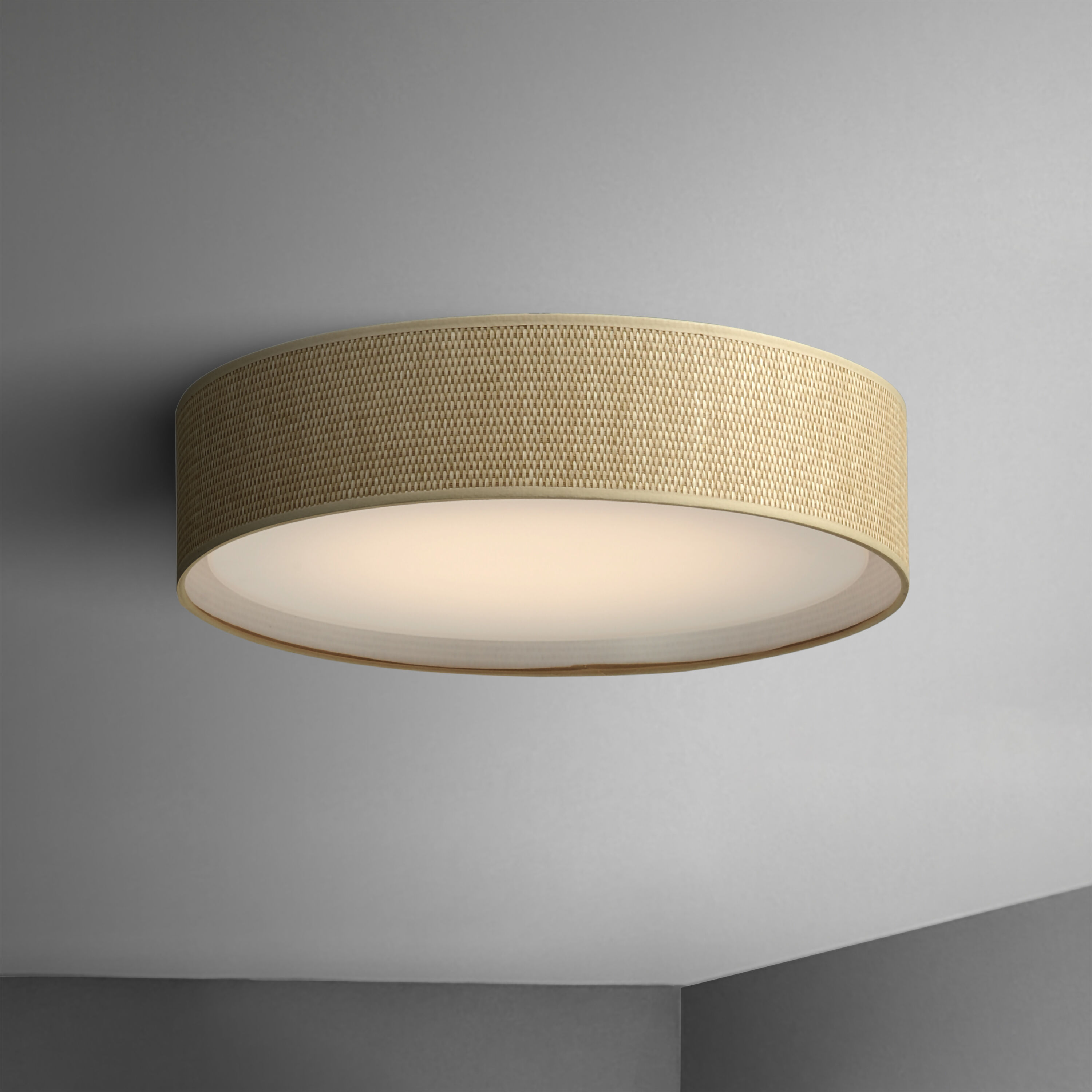 Prime LED 20 inch Flush Mount Ceiling Light