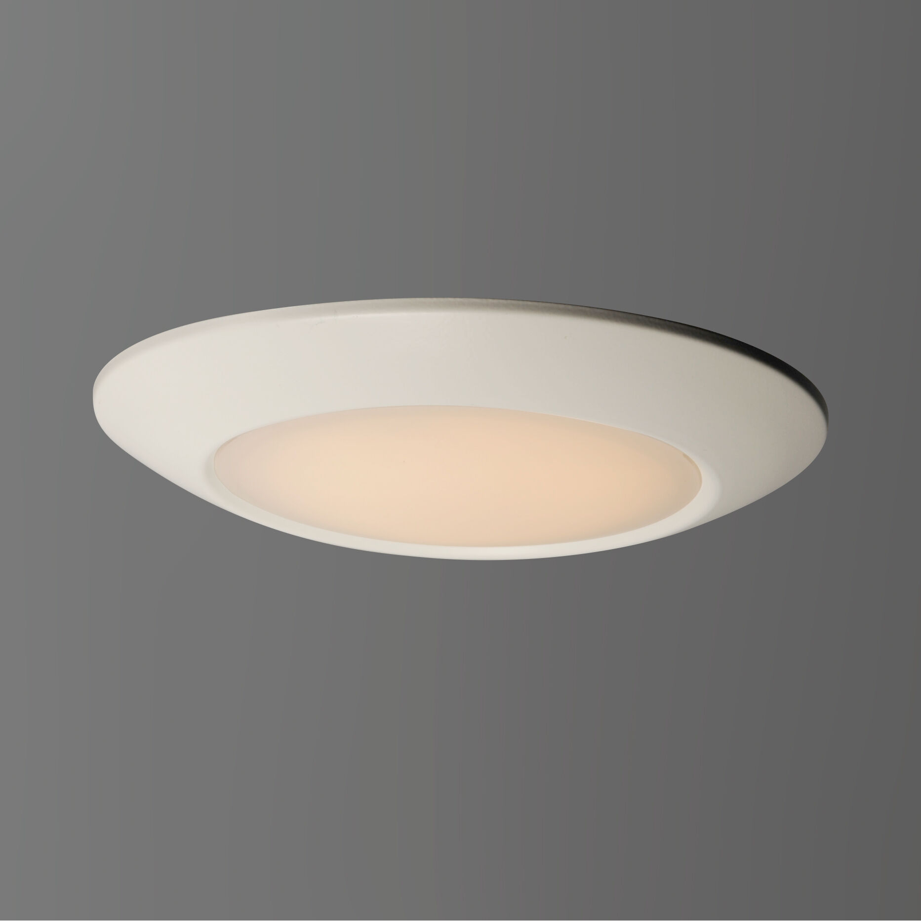 Diverse LED LED 9 inch White Flush Mount Ceiling Light