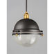 Portside 1 Light 11.75 inch Oil Rubbed Bronze/Antique Brass Outdoor Pendant