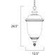 Carriage House DC 3 Light 12.5 inch Oriental Bronze Outdoor Hanging Lantern