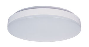 Profile EE LED 10 inch White Flush Mount Ceiling Light