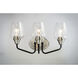 Goblet 3 Light 18 inch Black and Satin Nickel Bath Vanity Wall Light